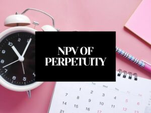NPV of Perpetuity: Net Present Value of Perpetuity